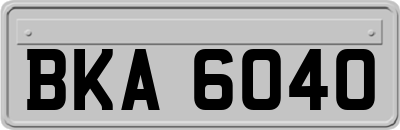BKA6040
