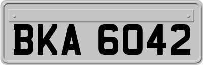 BKA6042