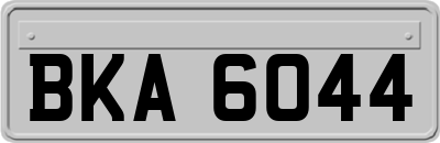 BKA6044