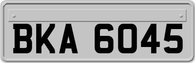 BKA6045