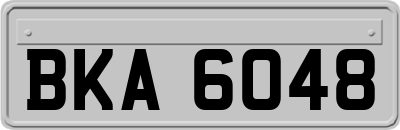 BKA6048