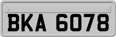 BKA6078