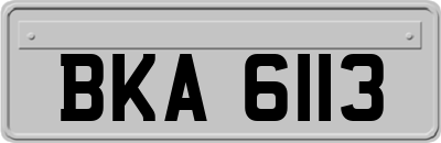 BKA6113