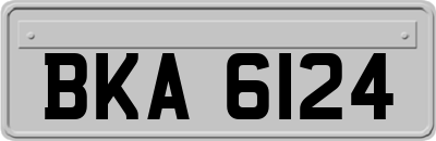 BKA6124