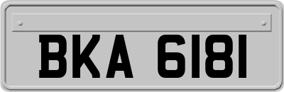 BKA6181