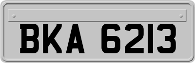 BKA6213