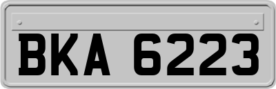 BKA6223