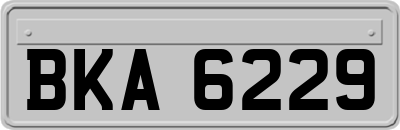 BKA6229