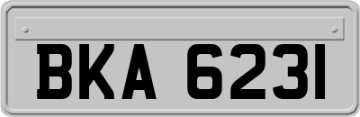 BKA6231
