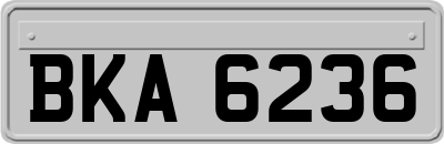 BKA6236