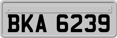 BKA6239