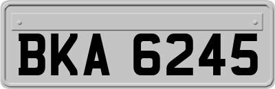BKA6245