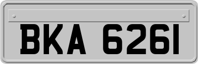 BKA6261