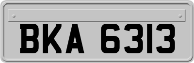 BKA6313