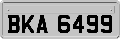BKA6499