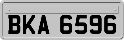 BKA6596