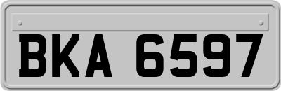 BKA6597