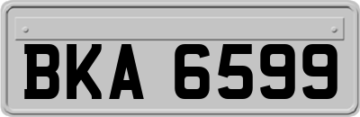 BKA6599