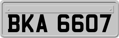 BKA6607