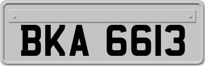 BKA6613