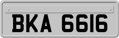 BKA6616