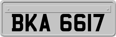 BKA6617
