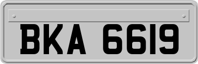 BKA6619