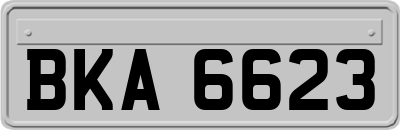 BKA6623