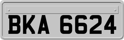 BKA6624