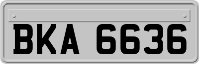BKA6636