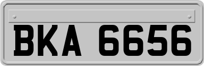 BKA6656