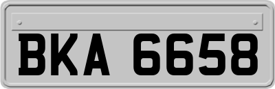 BKA6658