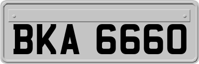 BKA6660