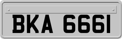 BKA6661