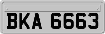 BKA6663