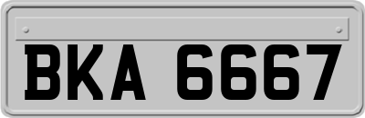 BKA6667