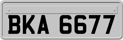 BKA6677