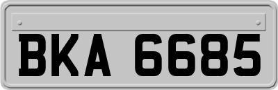 BKA6685