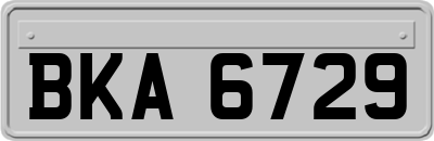 BKA6729