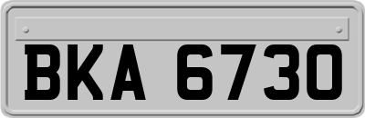 BKA6730