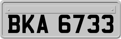 BKA6733
