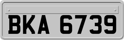 BKA6739
