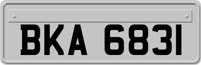 BKA6831