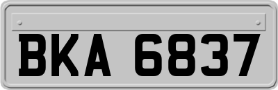 BKA6837