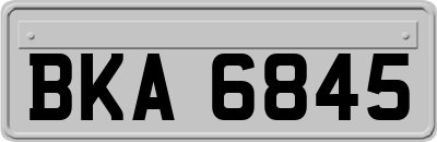 BKA6845
