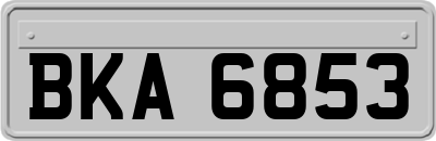 BKA6853