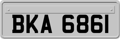 BKA6861