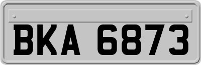 BKA6873