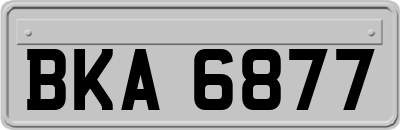 BKA6877