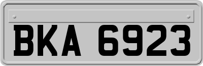 BKA6923